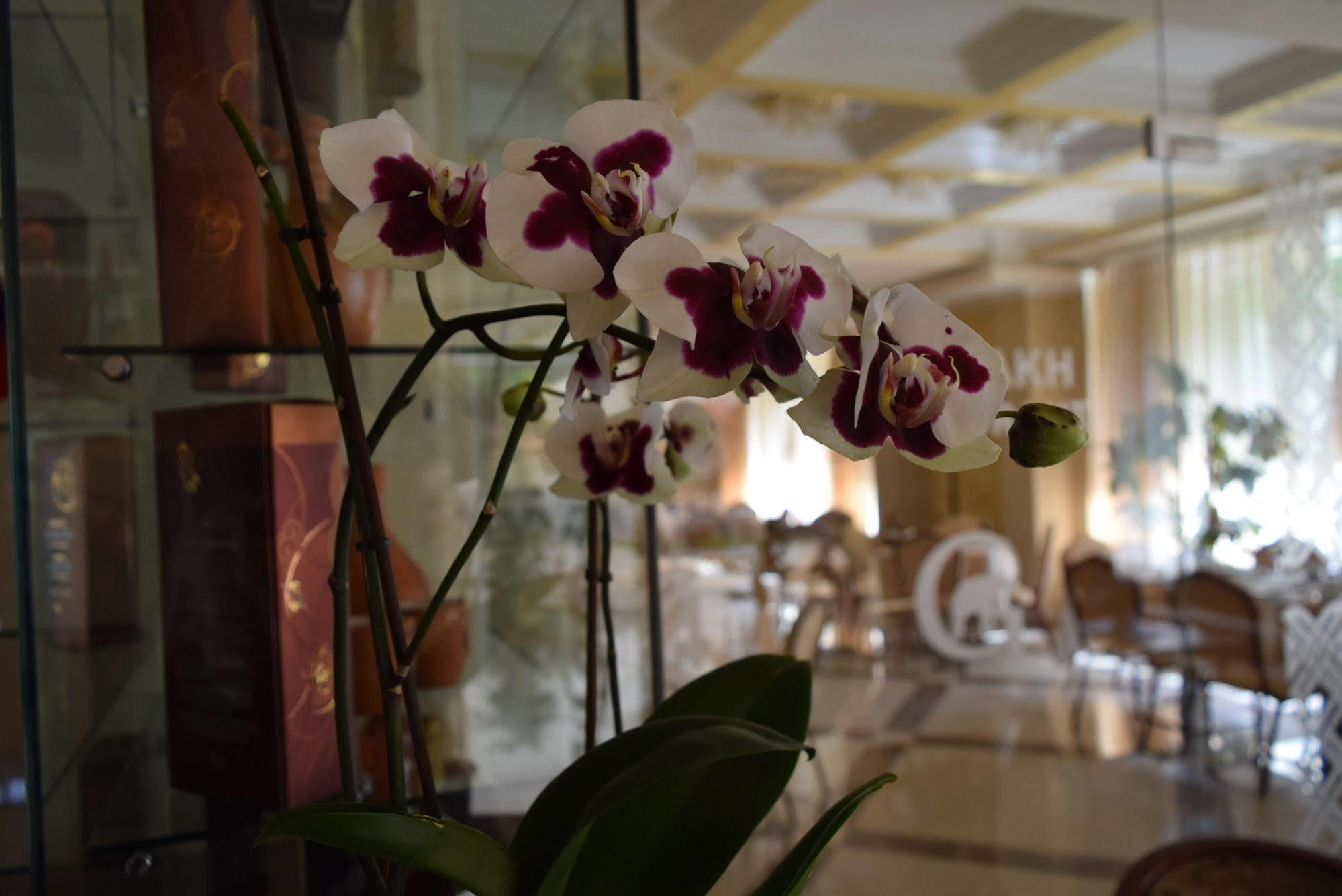יירבאן Artsakh Hotel מראה חיצוני תמונה
